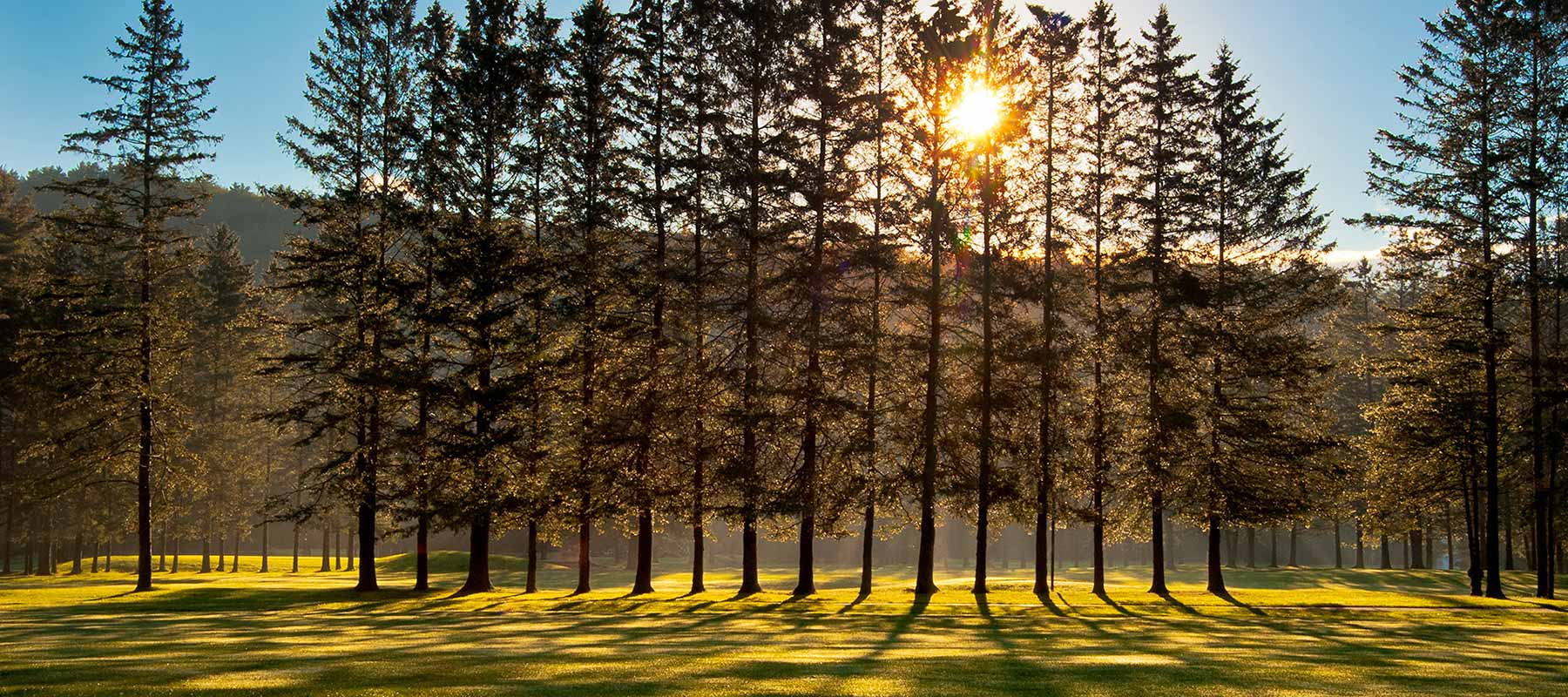 Logan Woods Naples, FL Real Estate All Naples Homes For Sale