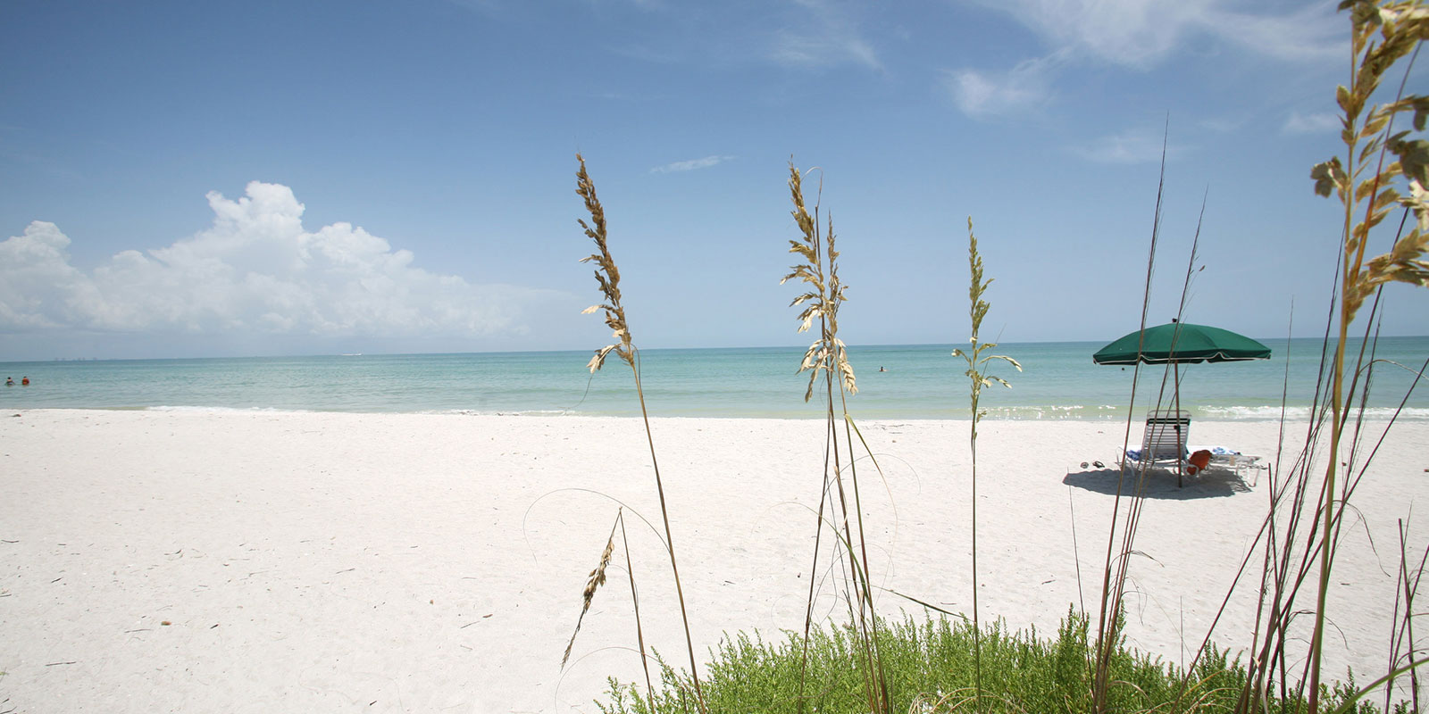 North Naples Naples, FL Real Estate All Naples Homes For Sale