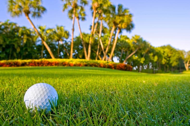 The Ultimate Guide to Naples Best Golf Communities